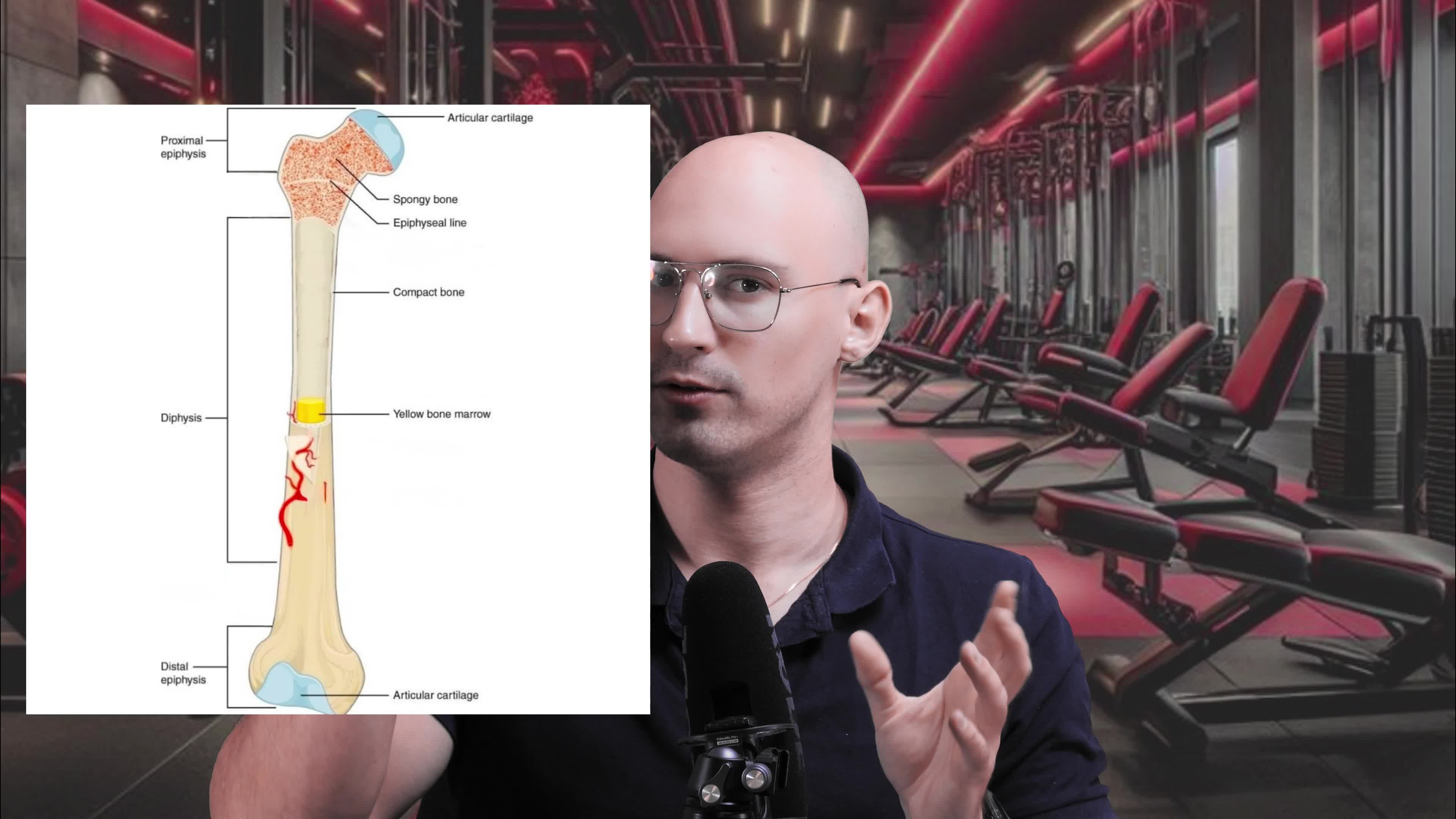קורס מבוא לכושר ותזונה